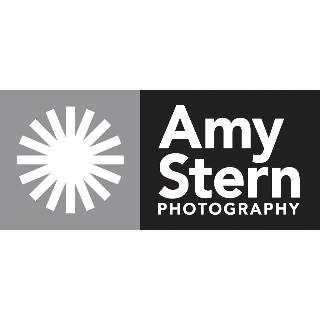 Headshot Session with Amy Stern Photography - Benefiting the United Way of NC