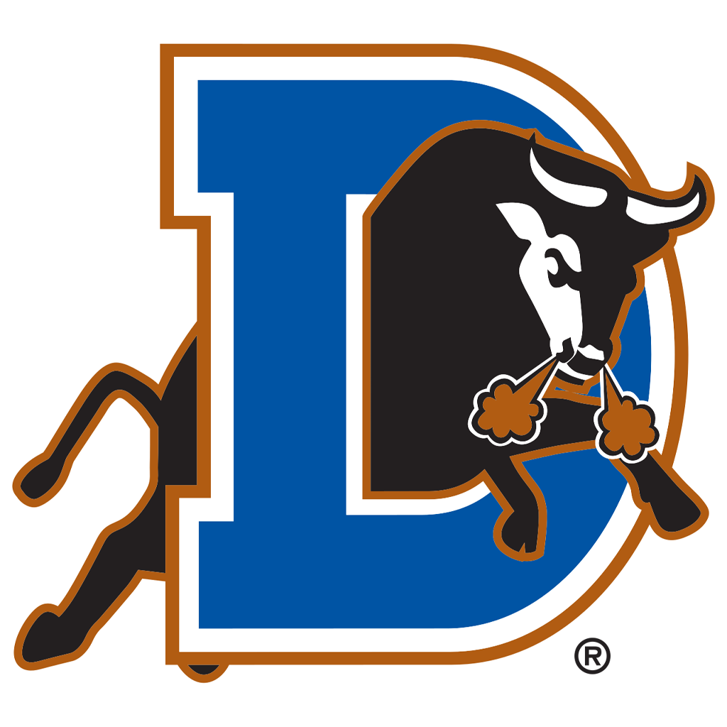 Durham Bulls Game from The Owners Suite - Benefiting the United Way of NC