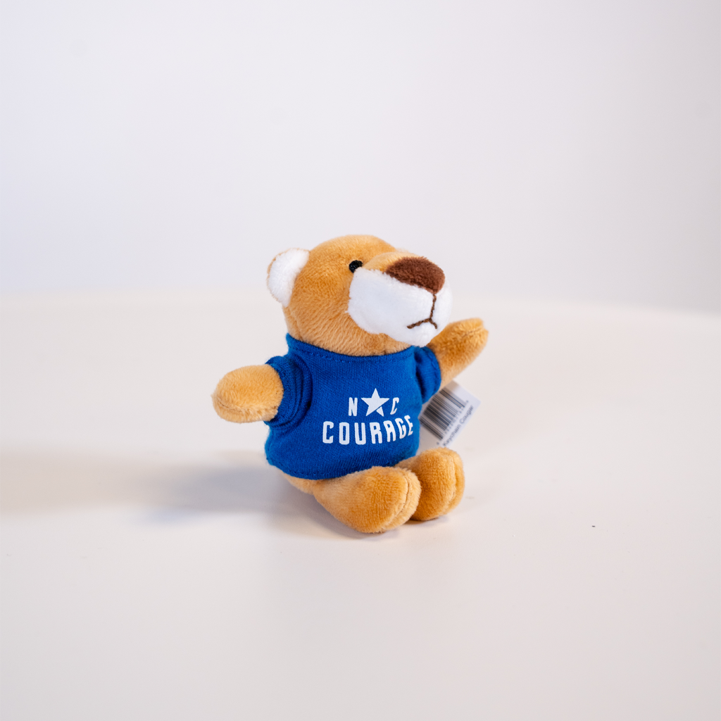 Plush toy lion wearing a blue shirt with text on a white background