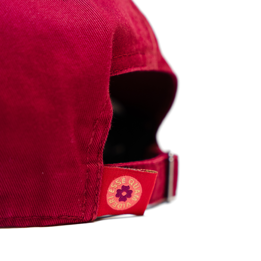 Close-up of a red cap with a visible "ESSE QUAM VIDERI" logo on a white background